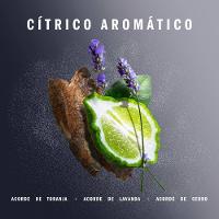 Desodorante Antitranspirante Aerossol Adidas Clinical Masculino Fresh 150ml - 4