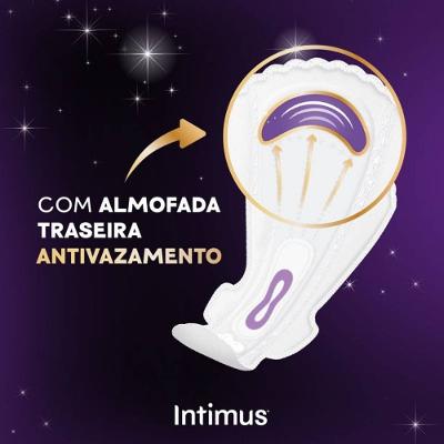 Absorvente Externo Intimus Noturno Longo Extra Suave 10 Unidades