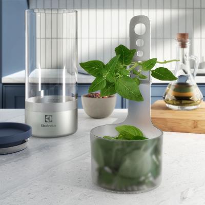 Potes Herméticos Electrolux de Vidro para Temperos Frescos e Hortaliças 2 Unidades