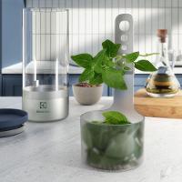 Potes Herméticos Electrolux de Vidro para Temperos Frescos e Hortaliças 2 Unidades