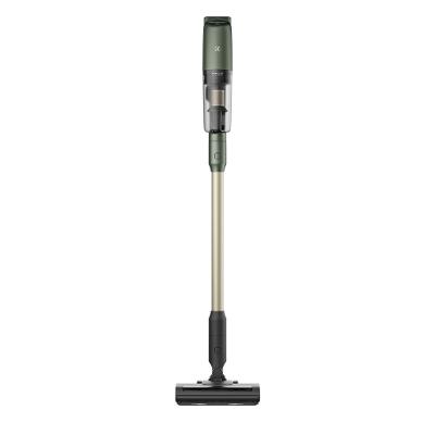 Aspirador de Pó Vertical Sem Fio Electrolux Ergorapido Verde Linha 100 anos Celebre Bem-Estar (PTEC200)