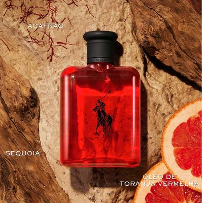 Polo Red Ralph Lauren - Perfume Masculino - Eau de Toilette
