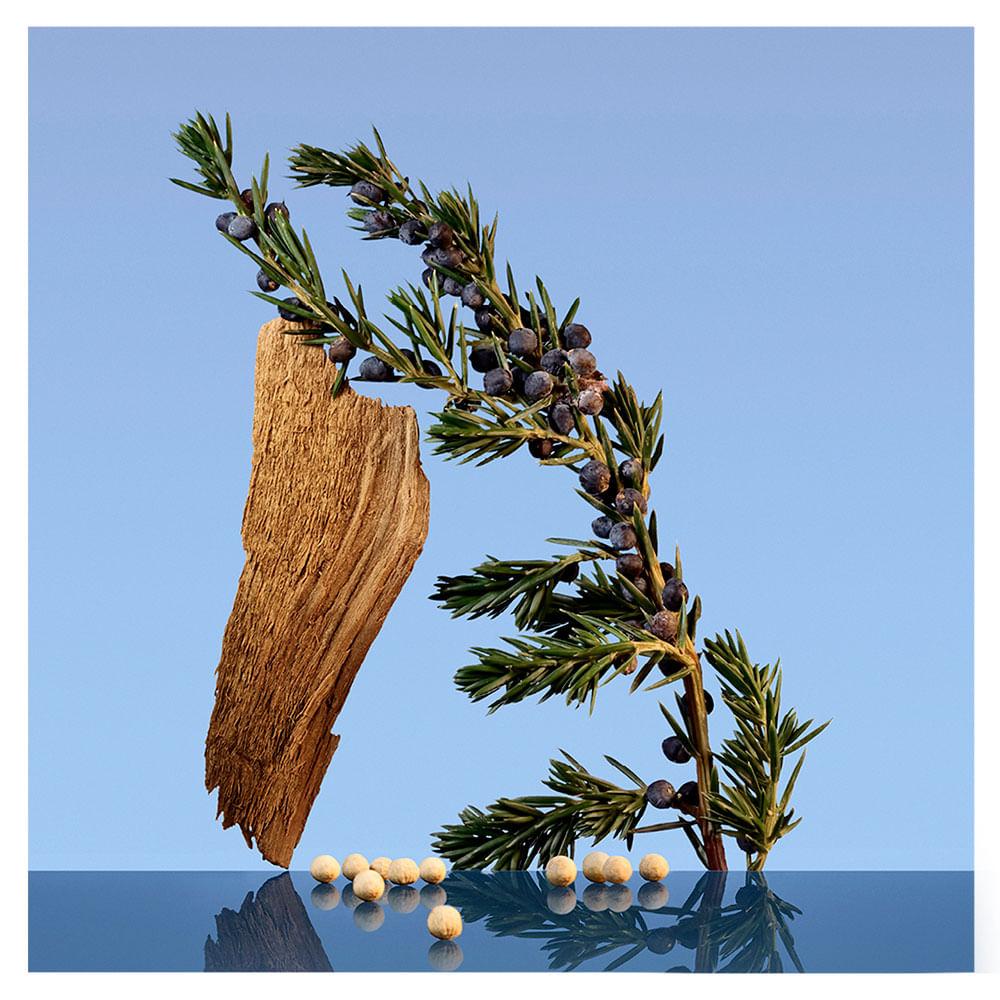 Ck Be Calvin Klein - Perfume Unissex - Eau de Toilette - 4