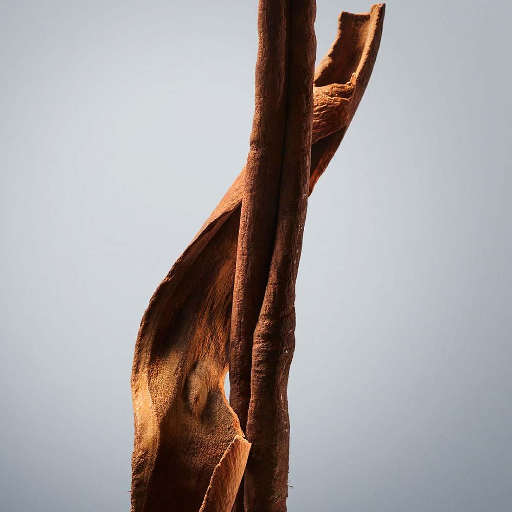 Boss Bottled Hugo Boss - Perfume Masculino - Eau de Toilette - 4