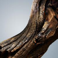 Boss Bottled Hugo Boss - Perfume Masculino - Eau de Toilette - 3