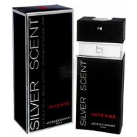 Silver Scent Intense Jacques Bogart - Perfume Masculino - Eau de Toilette - 2