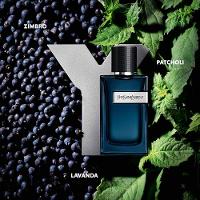 Y Intense Yves Saint Laurent - Perfume Masculino - Eau de Parfum - 3
