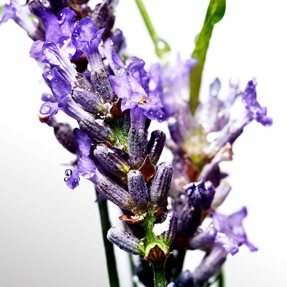 Cool Water Davidoff - Perfume Masculino - Eau De Toilette - 3