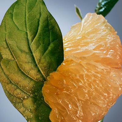 Boss Bottled Infinite Hugo Boss – Perfume Masculino EDP