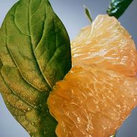 Boss Bottled Infinite Hugo Boss – Perfume Masculino EDP