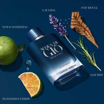 Acqua Di Giò Profondo Giorgio Armani - Perfume Masculino EDP