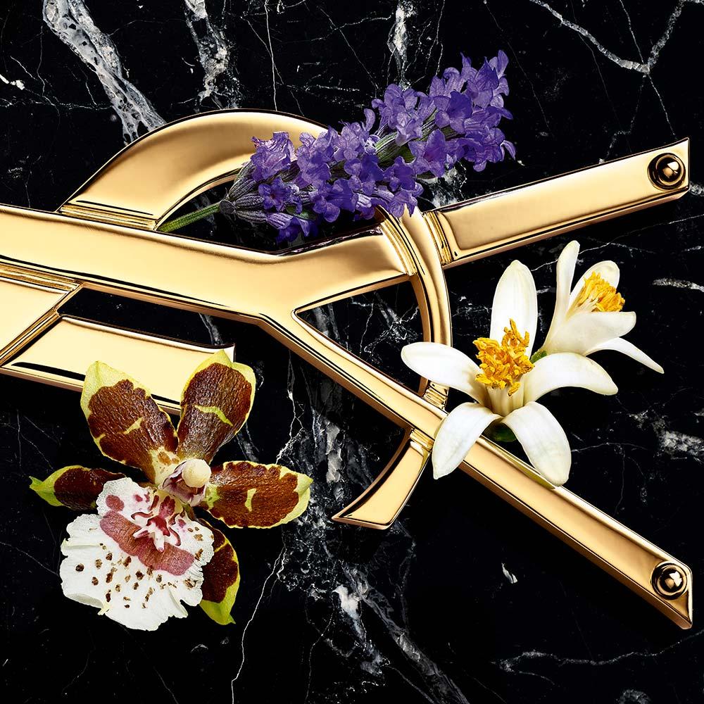 Libre Intense Yves Saint Laurent Perfume Feminino EDP - 3