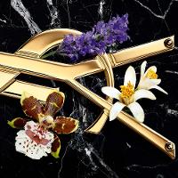 Libre Intense Yves Saint Laurent Perfume Feminino EDP - 3