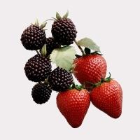 Burberry Her Elixir - Perfume Feminino - Eau De Parfum - 6