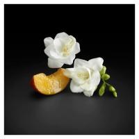 The Scent For Her Hugo Boss - Perfume Feminino Eau de Parfum - 3