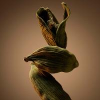 Bottled Hugo Boss Perfume Masculino EDP - 6