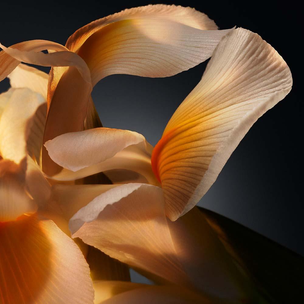 Boss Bottled Parfum Hugo Boss – Perfume Masculino EDP - 4