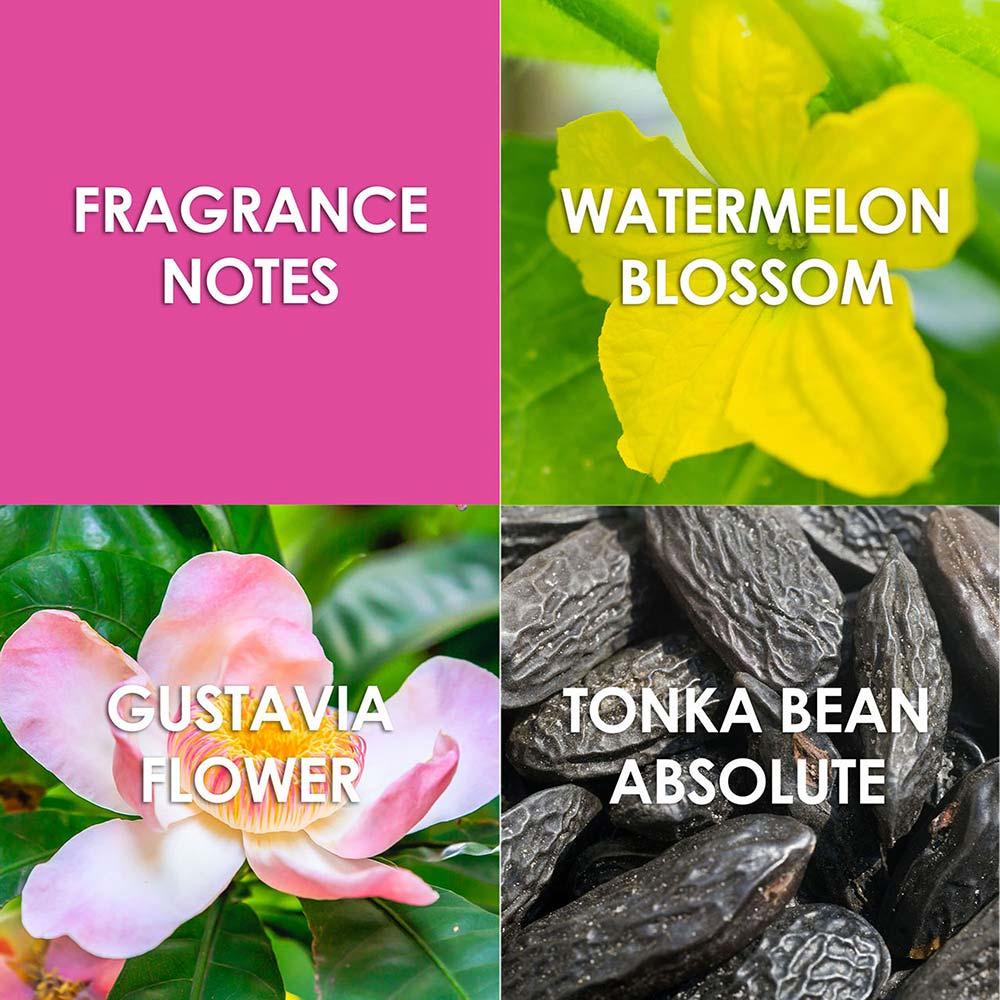 Jungle Fantasy Britney Spears Perfume Feminino Eau de Toilette - 5