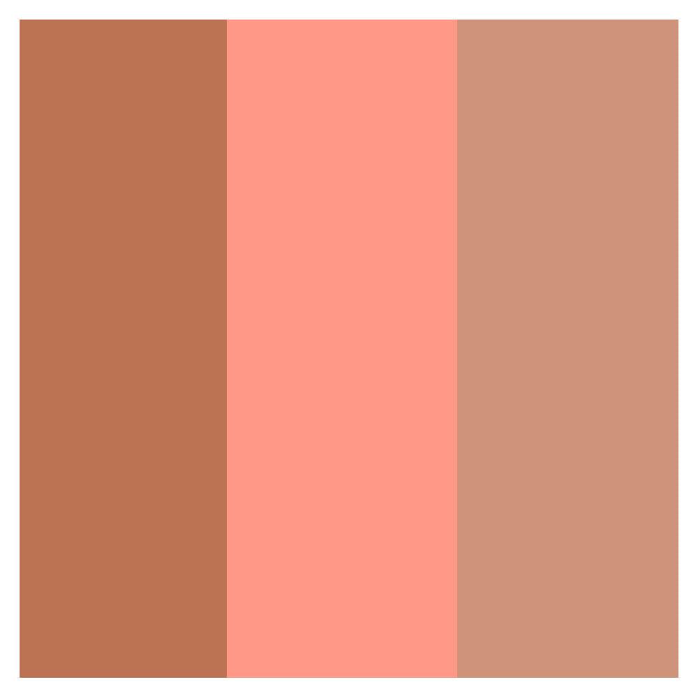 Paleta BFF Vizzela Cor - 2