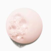 Kérastase Chroma Absolu Bain Chroma Respect Shampoo