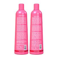 Richée Professional Nano Btx Repair Kit – Shampoo + Condicionador - 2