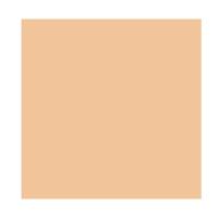 Pó Fixador Solto wet n wild - Photo Focus - 2