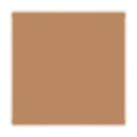 Base Facial Shiseido - Future Solution LX Total Radiance Foundation - 2