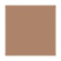 Base Facial Shiseido - Future Solution LX Total Radiance Foundation - 2