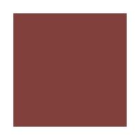 Batom Em Lápis Catrice Intense Matte - 2