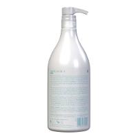 Richée Professional Bioplástica Shampoo Purificante - 2