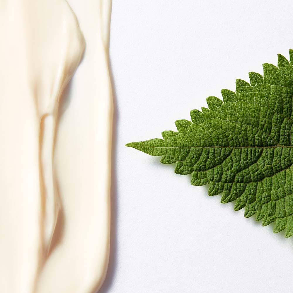 Hidratante Facial Shiseido - Future Solution LX Total Protective Cream E - 5