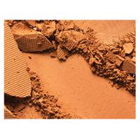 Base Em Pó Studio Fix M·A·C – Tons Escuros - 3