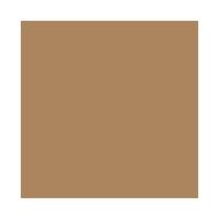 Base Líquida Multifuncional Niina Secrets by Eudora Daily Tint Cream - 2