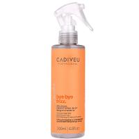 Cadiveu Professional Bye Bye Frizz Leave In Selagem Gradativa - 1