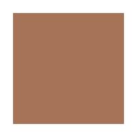 Pó Solto Dailus Ultrafino - 2