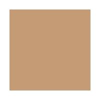 Base Líquida Shiseido - Revitalessence Skin Glow Foundation FPS 30 - 2