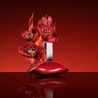 My Euphoria Calvin Klein Perfume Feminino Eau De Parfum - 3