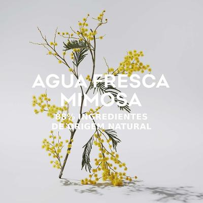 Mimosa Coriandro Adolfo Dominguez - Perfume Feminino - Eau de Toilette