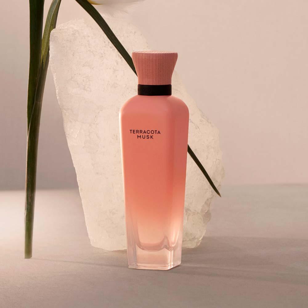 Terracota Musk Adolfo Dominguez - Perfume Feminino - Eau de Parfum - 3