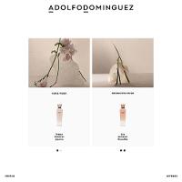 Terracota Musk Adolfo Dominguez - Perfume Feminino - Eau de Parfum - 7