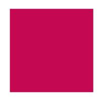 Gloss Labial wet n wild MegaSlicks Lip Gloss 2,2ml - 2