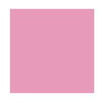 Gloss Labial wet n wild MegaSlicks Lip Gloss 2,2ml - 2