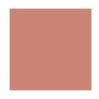 Gloss Labial wet n wild MegaSlicks Lip Gloss 2,2ml - 2