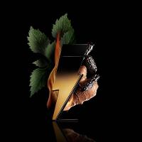 Bad Boy Extreme Carolina Herrera - Perfume Masculino - Eau de Parfum