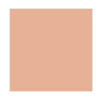 Iluminador em Pó wet n wild - MegaGlo Highlighting Powder - 2