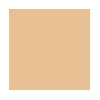 Base Líquida Shiseido - Revitalessence Skin Glow Foundation FPS 30 - 2