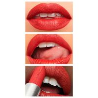 Batom Matte Lipstick M.A.C - MACximal - 5