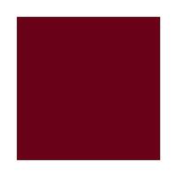 Gloss Labial Dailus Feat. Mentos - Lip Oil Plump - 2