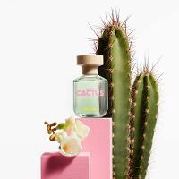 United Dreams Cactus For Her Benetton - Perfume Feminino - Eau de Toilette