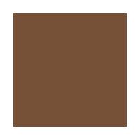 Sombra em Pó para Sobrancelhas Benefit Goof Proof Powder - 2